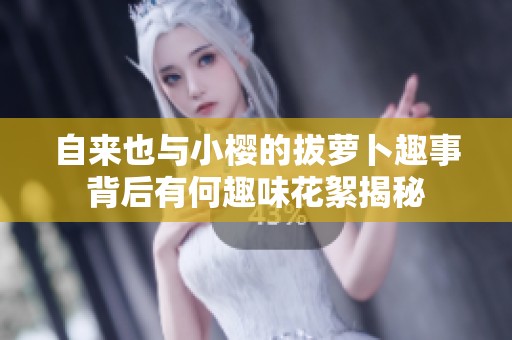 自来也与小樱的拔萝卜趣事背后有何趣味花絮揭秘
