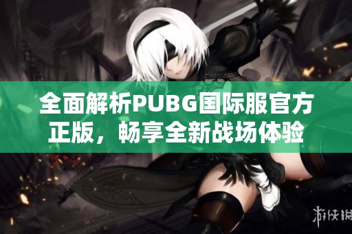 全面解析PUBG国际服官方正版，畅享全新战场体验