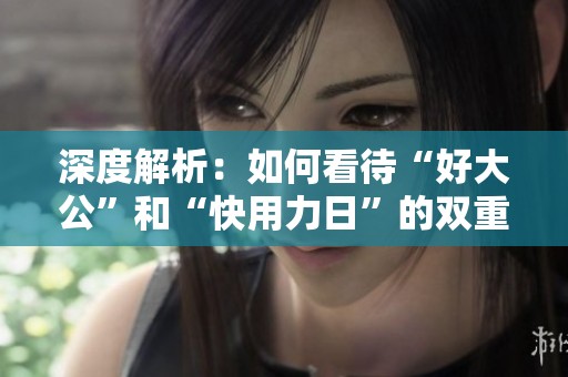 深度解析：如何看待“好大公”和“快用力日”的双重标准