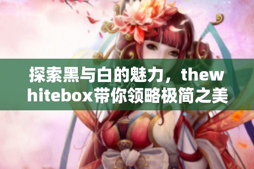 探索黑与白的魅力，thewhitebox带你领略极简之美