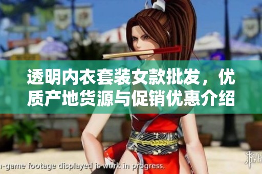 透明内衣套装女款批发，优质产地货源与促销优惠介绍