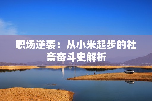 职场逆袭：从小米起步的社畜奋斗史解析