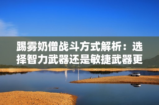 踢雾奶僧战斗方式解析：选择智力武器还是敏捷武器更优？