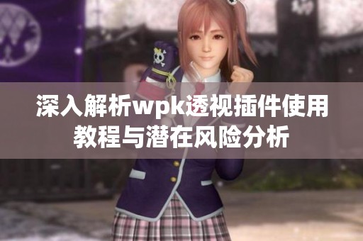 深入解析wpk透视插件使用教程与潜在风险分析