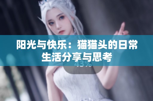 阳光与快乐：猫猫头的日常生活分享与思考