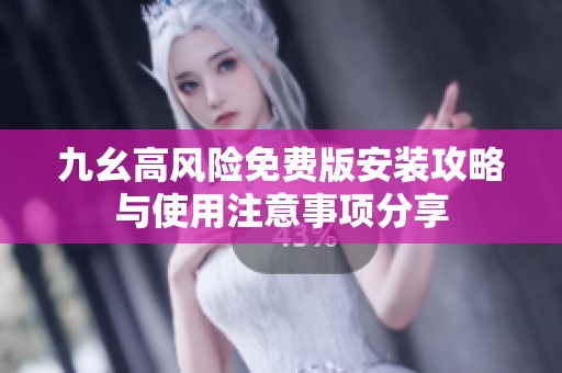 九幺高风险免费版安装攻略与使用注意事项分享