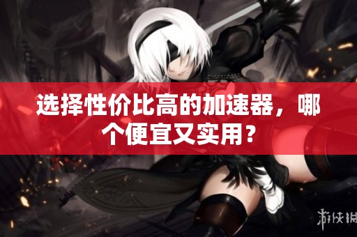选择性价比高的加速器，哪个便宜又实用？