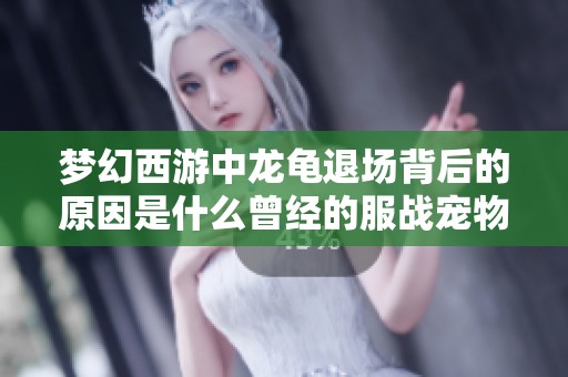 梦幻西游中龙龟退场背后的原因是什么曾经的服战宠物成长历程探讨