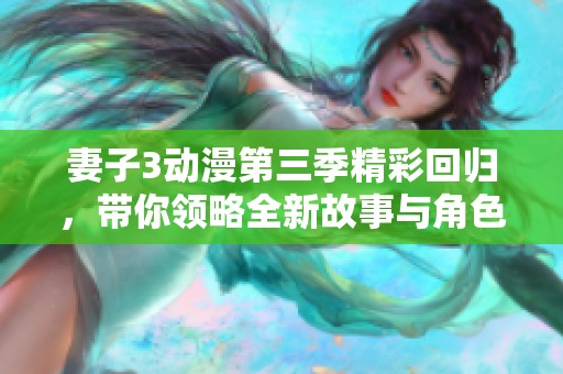 妻子3动漫第三季精彩回归，带你领略全新故事与角色魅力