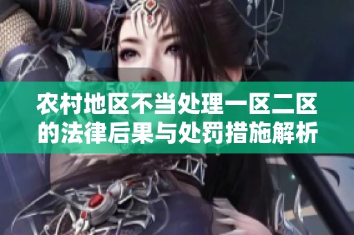农村地区不当处理一区二区的法律后果与处罚措施解析