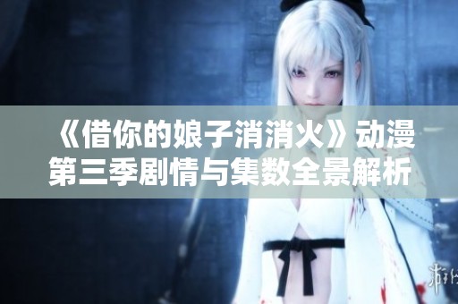 《借你的娘子消消火》动漫第三季剧情与集数全景解析