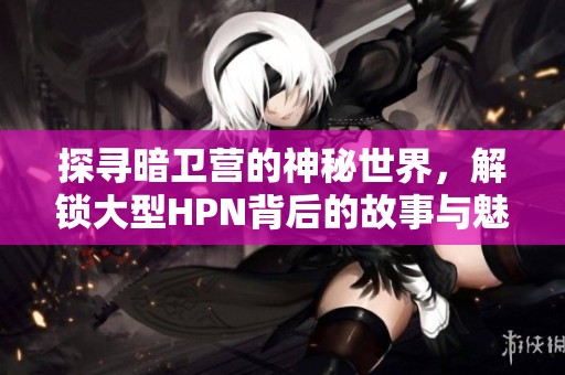 探寻暗卫营的神秘世界，解锁大型HPN背后的故事与魅力