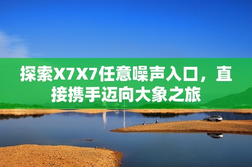 探索X7X7任意噪声入口，直接携手迈向大象之旅