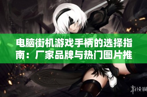 电脑街机游戏手柄的选择指南：厂家品牌与热门图片推荐