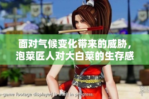面对气候变化带来的威胁，泡菜匠人对大白菜的生存感到担忧