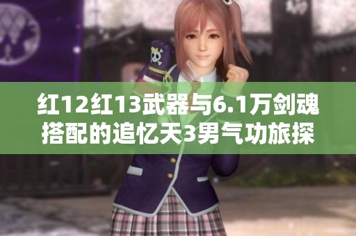 红12红13武器与6.1万剑魂搭配的追忆天3男气功旅探索之路