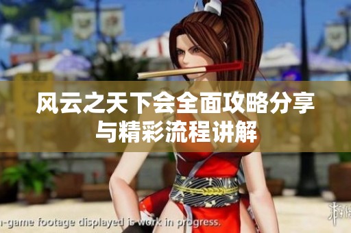 风云之天下会全面攻略分享与精彩流程讲解