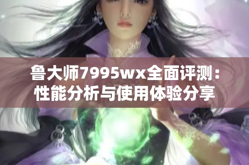 鲁大师7995wx全面评测：性能分析与使用体验分享