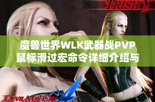 魔兽世界WLK武器战PVP鼠标滑过宏命令详细介绍与使用技巧