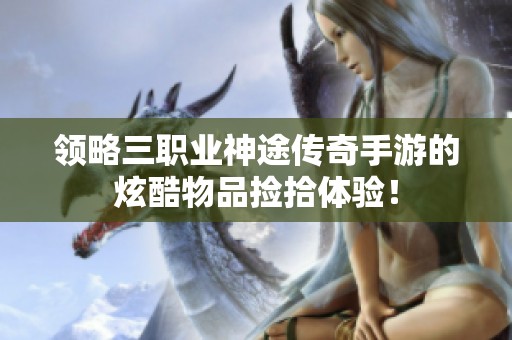 领略三职业神途传奇手游的炫酷物品捡拾体验！
