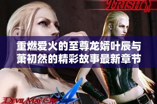 重燃爱火的至尊龙婿叶辰与萧初然的精彩故事最新章节解析