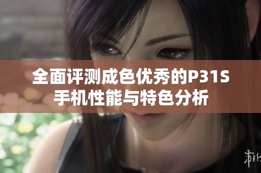 全面评测成色优秀的P31S手机性能与特色分析