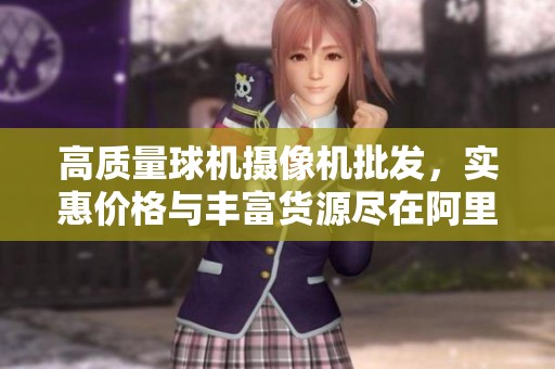 高质量球机摄像机批发，实惠价格与丰富货源尽在阿里巴巴