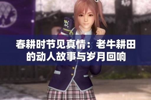 春耕时节见真情：老牛耕田的动人故事与岁月回响
