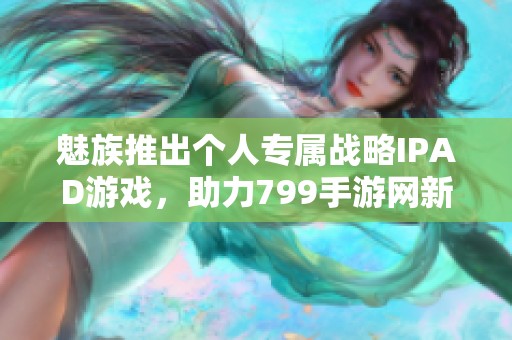 魅族推出个人专属战略IPAD游戏，助力799手游网新体验