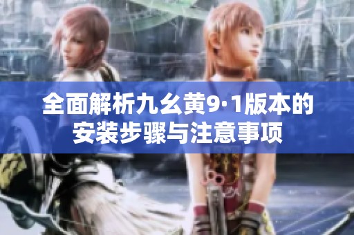 全面解析九幺黄9·1版本的安装步骤与注意事项