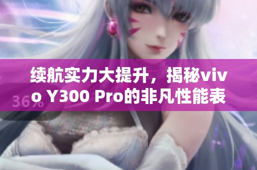 续航实力大提升，揭秘vivo Y300 Pro的非凡性能表现