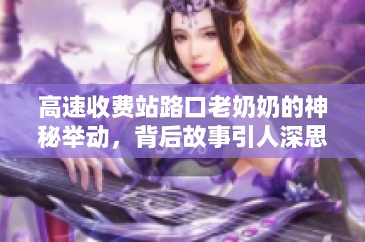 高速收费站路口老奶奶的神秘举动，背后故事引人深思