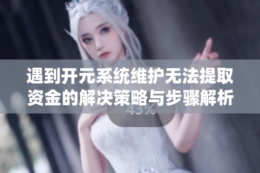 遇到开元系统维护无法提取资金的解决策略与步骤解析