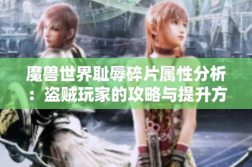 魔兽世界耻辱碎片属性分析：盗贼玩家的攻略与提升方向