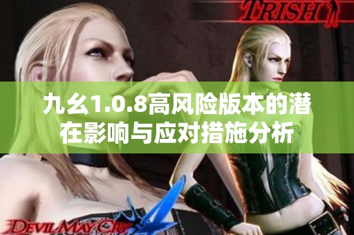 九幺1.0.8高风险版本的潜在影响与应对措施分析