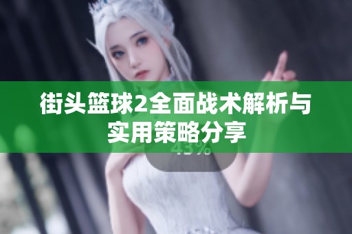 街头篮球2全面战术解析与实用策略分享