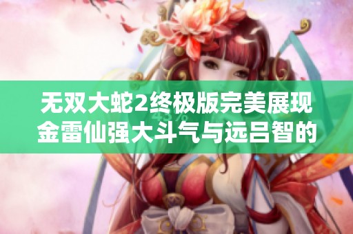 无双大蛇2终极版完美展现金雷仙强大斗气与远吕智的巅峰对决