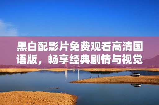 黑白配影片免费观看高清国语版，畅享经典剧情与视觉盛宴