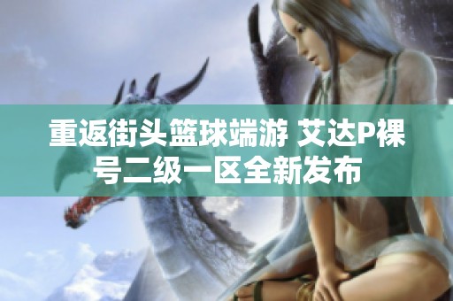重返街头篮球端游 艾达P裸号二级一区全新发布