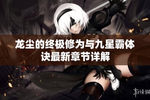 龙尘的终极修为与九星霸体诀最新章节详解