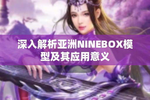 深入解析亚洲NINEBOX模型及其应用意义