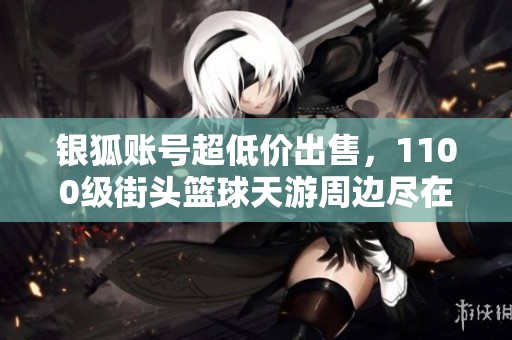 银狐账号超低价出售，1100级街头篮球天游周边尽在嘻哈部