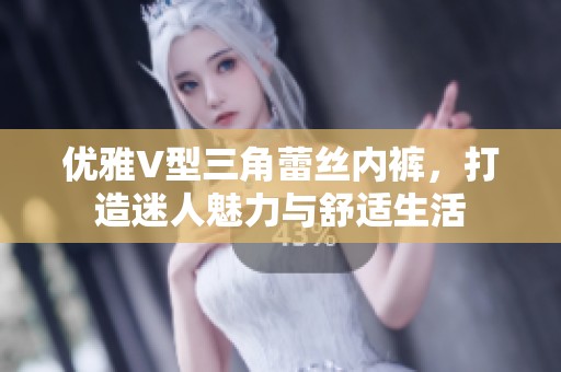 优雅V型三角蕾丝内裤，打造迷人魅力与舒适生活