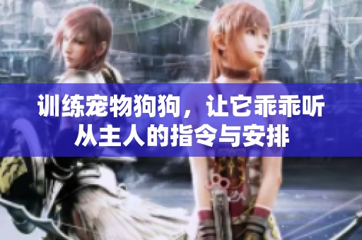 训练宠物狗狗，让它乖乖听从主人的指令与安排