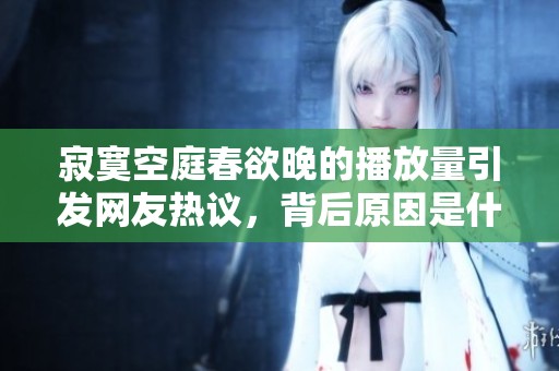 寂寞空庭春欲晚的播放量引发网友热议，背后原因是什么