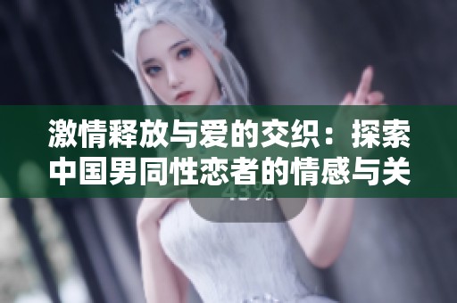 激情释放与爱的交织：探索中国男同性恋者的情感与关系