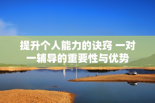 提升个人能力的诀窍 一对一辅导的重要性与优势