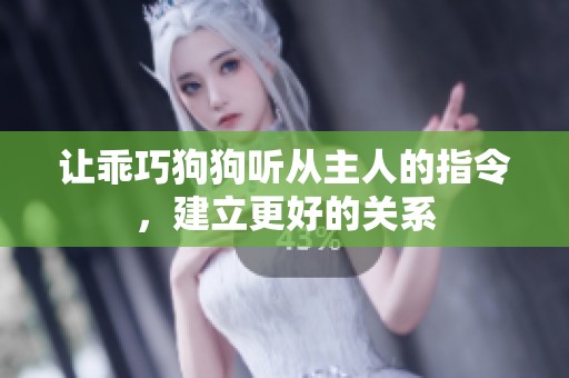 让乖巧狗狗听从主人的指令，建立更好的关系
