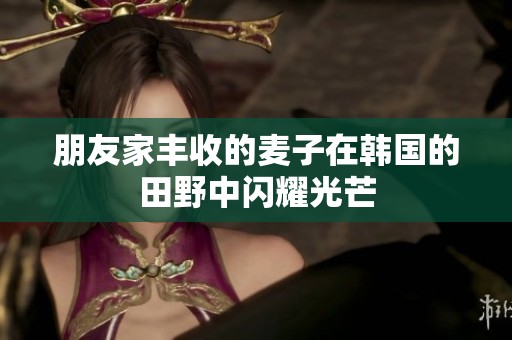 朋友家丰收的麦子在韩国的田野中闪耀光芒