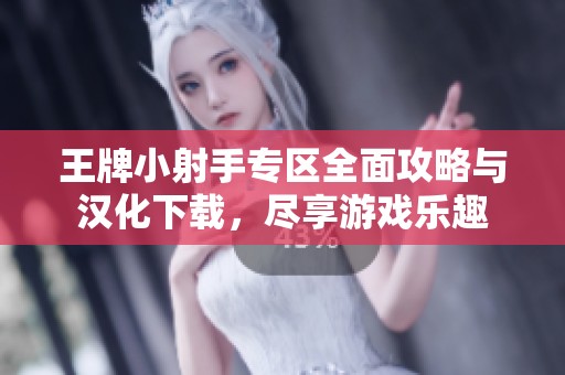 王牌小射手专区全面攻略与汉化下载，尽享游戏乐趣